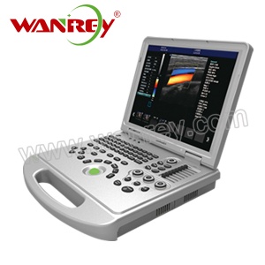4D Color Ultrasound Scanner WR-MD022